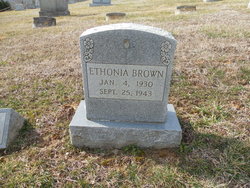 Ethonia Brown 