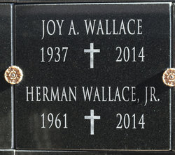 Joy A. Wallace 