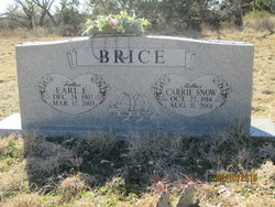 Earl Eugene Brice 