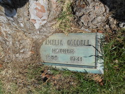 Catherine Amelia Goodell 