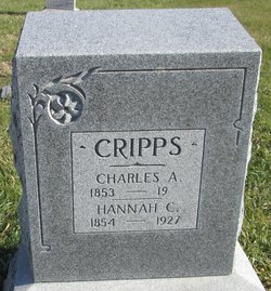 Hannah C. <I>Ducker</I> Cripps 