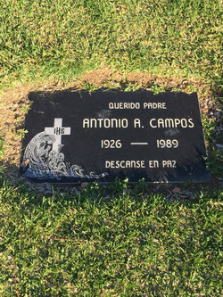 Antonio Alejo Campos 