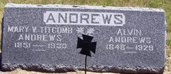 Alvin Andrews 