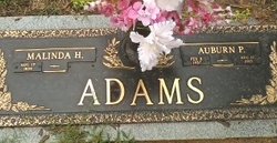 Auburn Preston Adams 