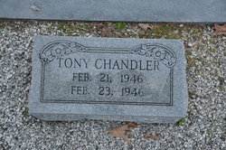 Tony Chandler 
