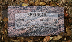 Bertha Mae <I>Jackson</I> Springer 
