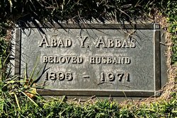 Abad Y. Abbas 