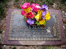 Alfonso J Alamia Jr.