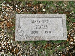Mary Texie <I>Johnson</I> Sparks 