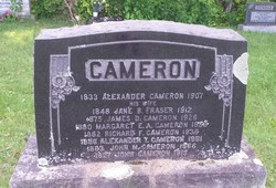 Alexander T Cameron 