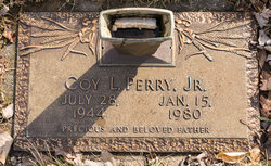 Coy Luther Perry Jr.