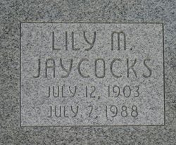 Lily M. Jaycocks 