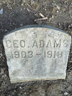 George Adams Jr.
