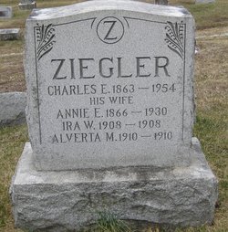 Annie Elizabeth <I>Plowman</I> Ziegler 