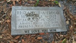 Elizabeth Ann “Liz” <I>Calhoun</I> Frosio 
