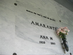 Ana M <I>Rojas</I> Amarante 