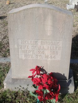 Nellie Hope <I>Broome</I> Allen 