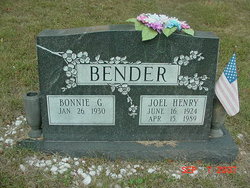 Joel Henry Bender 
