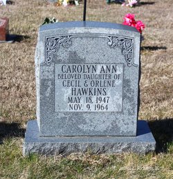 Carolyn Ann Hawkins 