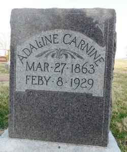 Adaline Carnine 