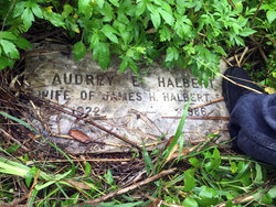 Audrey <I>Gentry</I> Halbert 