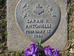 Sarah R Antonelli 