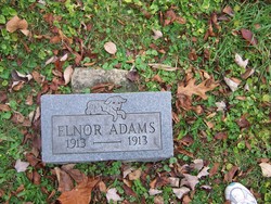 Elnor Adams 