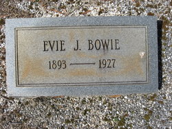 Evie J Bowie 