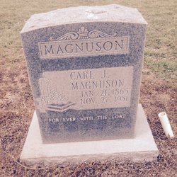 Carl J. Magnuson 