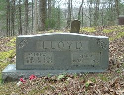 Andrew J. Lloyd 