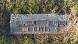 David E Davis 