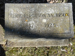 Nancy Alice <I>Ferguson</I> Anderson 