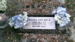 Wanda Ann Beck 