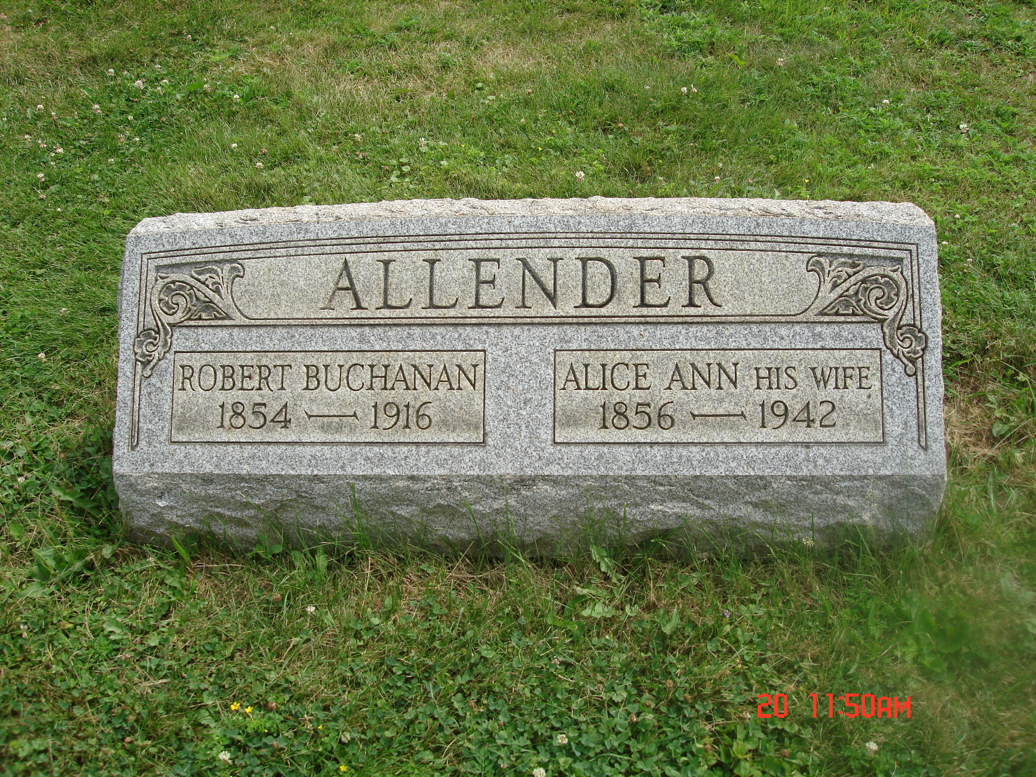 Alice Ann Jackson Allender (1856-1942