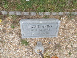 Lizzie <I>Jacobs</I> Akins 