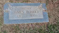 James Dixon Brice 