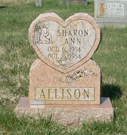 Sharon Ann Allison 