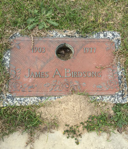 James A. Birdsong 