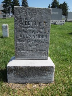 Bettie T Alexander 