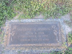 Angeline S Andrews 