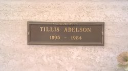 Tillis <I>Schwartz</I> Adelson 