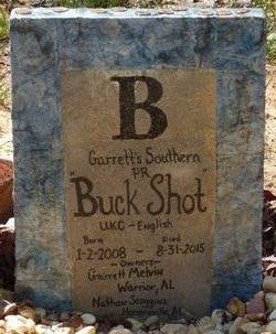 Garrett's Southern Buck Shot 