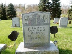 Andrew C. Gaydos 