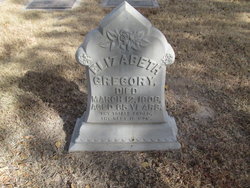 Elizabeth Jane Gregory 