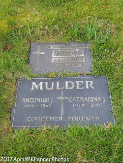 Catharina J. Mulder 