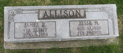 Jesse M Allison 
