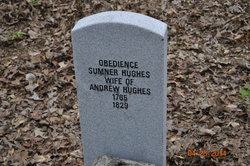 Obedience “Biddy” <I>Sumner</I> Hughes 