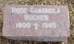 Rose <I>Guadnola</I> Buchen 