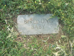 Infant Birdsong 