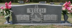 Lewis Justice Welch 